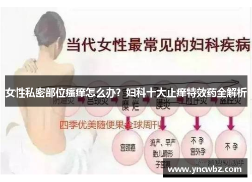 女性私密部位瘙痒怎么办？妇科十大止痒特效药全解析