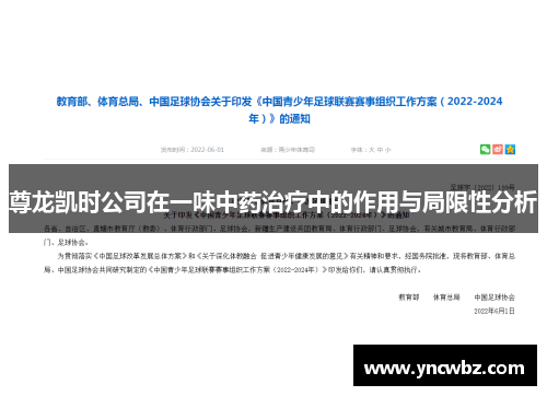 尊龙凯时公司在一味中药治疗中的作用与局限性分析
