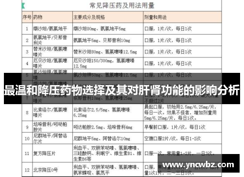 最温和降压药物选择及其对肝肾功能的影响分析