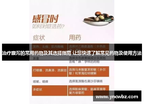 治疗腹泻的常用药物及其选择指南 让您快速了解常见药物及使用方法